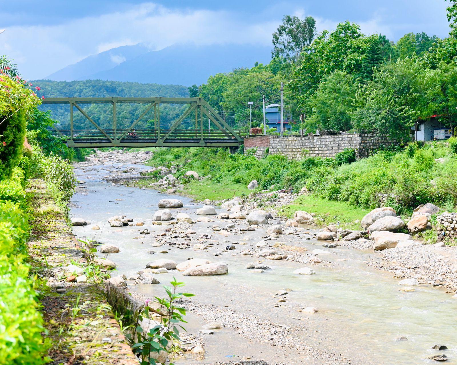 Forest on One Side, River on the Other
